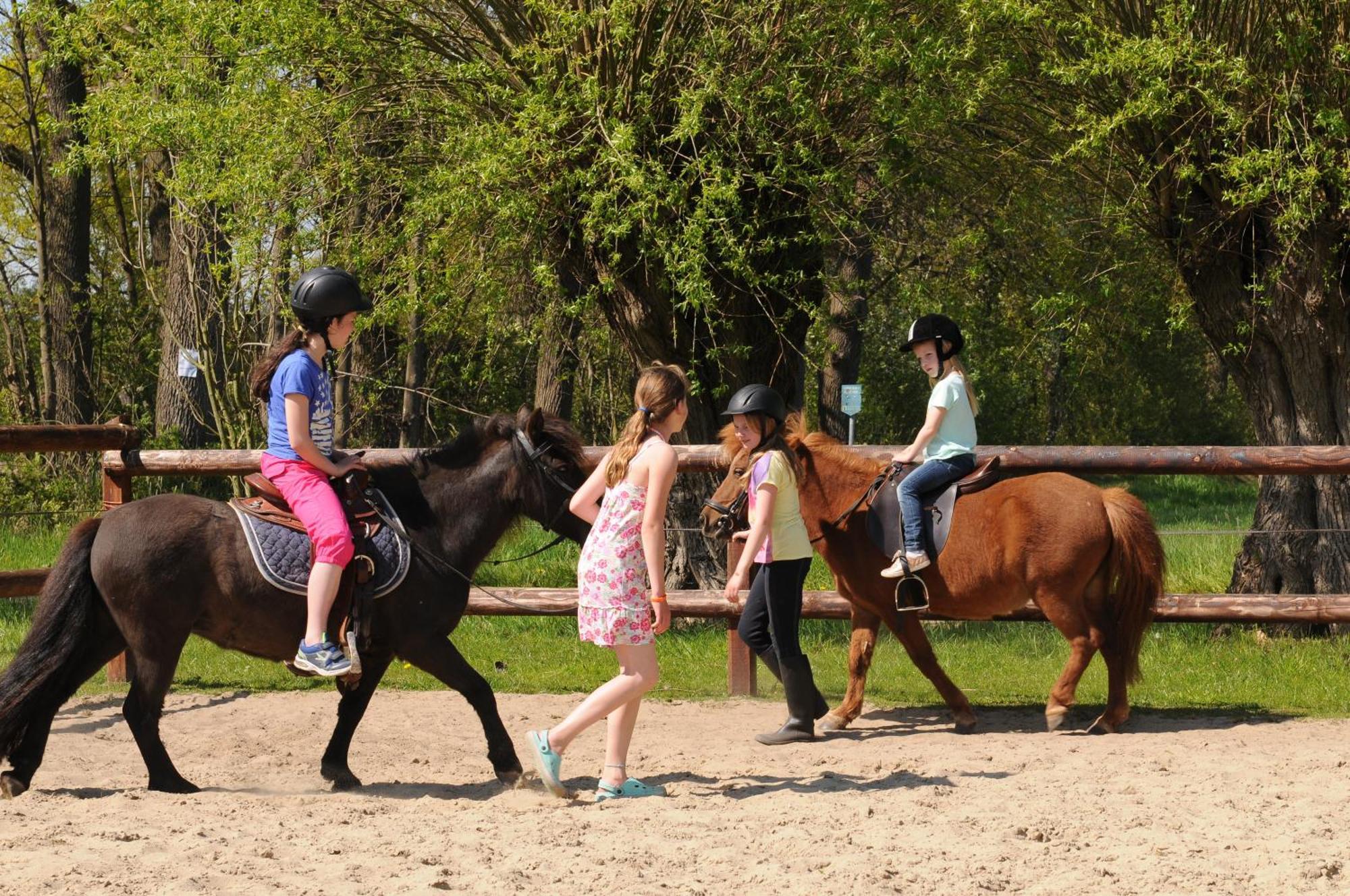 Camping De Meibeek Ruurlo Bagian luar foto